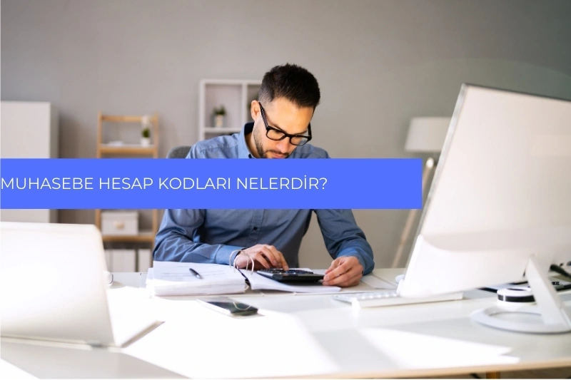 Muhasebe Hesap Kodları Nelerdir?